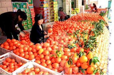 投资12亿!嘉兴水果市场要在山东临沂建立全国第三大水果市场!_文化_网