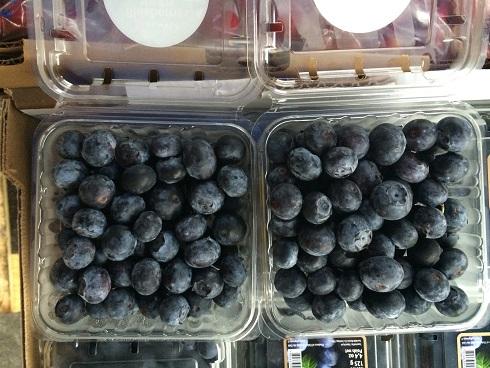广州进口水果批发新宠  智利蓝莓热销产品